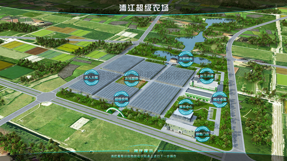 浦江超級(jí)農(nóng)場：科技賦能讓種植更高效