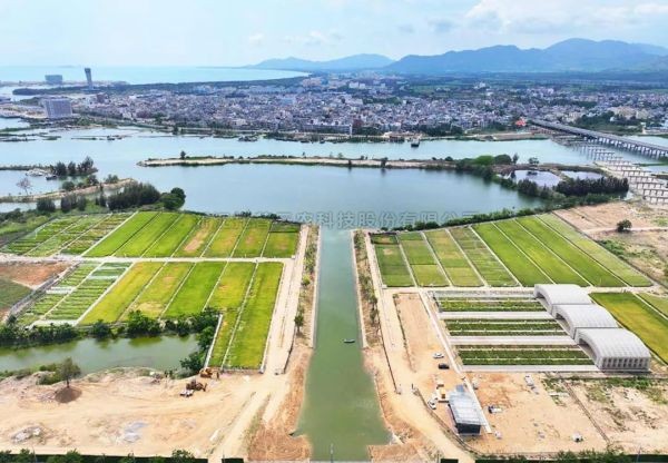 為鹽堿地安上“技術芯片”，托普云農(nóng)打造耐鹽堿水稻科研試驗基地建設解決方案