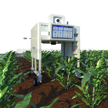 田間無人車式高通量植物表型采集分析平臺 