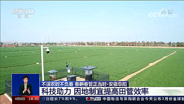 3.CCTV13新聞頻道《共同關(guān)注》·安徽阜陽.png