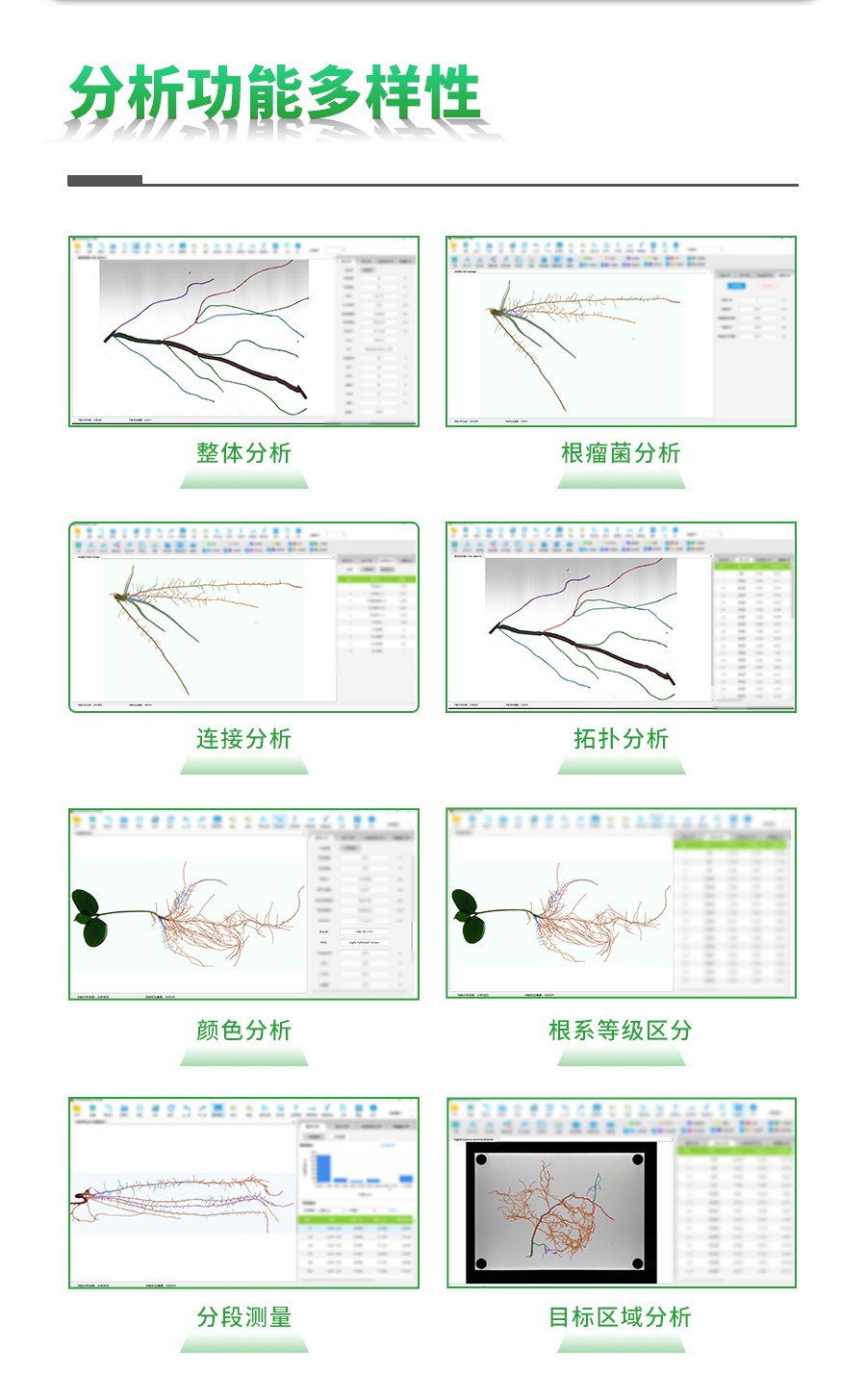 根系分析系統(tǒng)