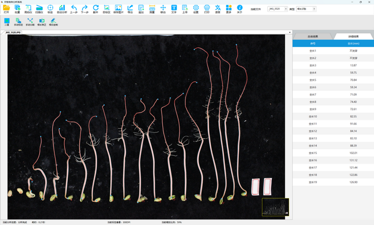 4. 種子萌發(fā)和根系分析（2）.png